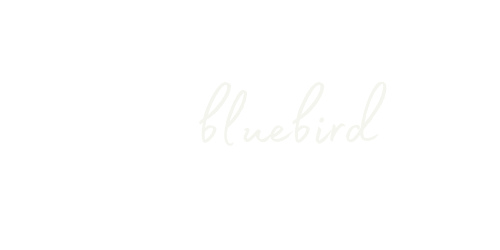 Bluebird Digital Studio